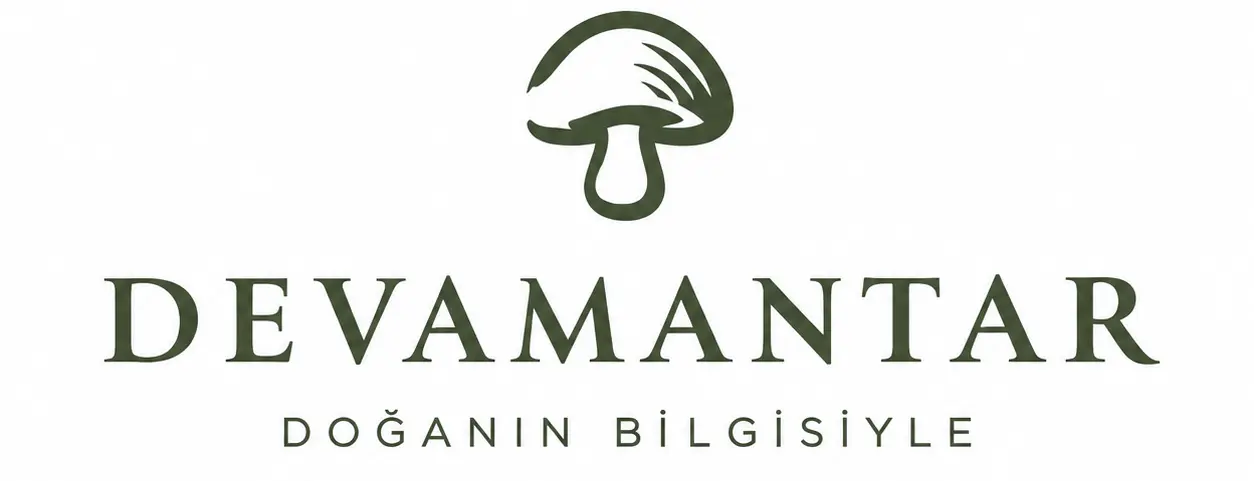 devamantar.com