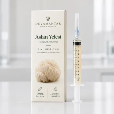 Aslan Yelesi (Lion's Mane) Sıvı Miselyumu – 10 mL